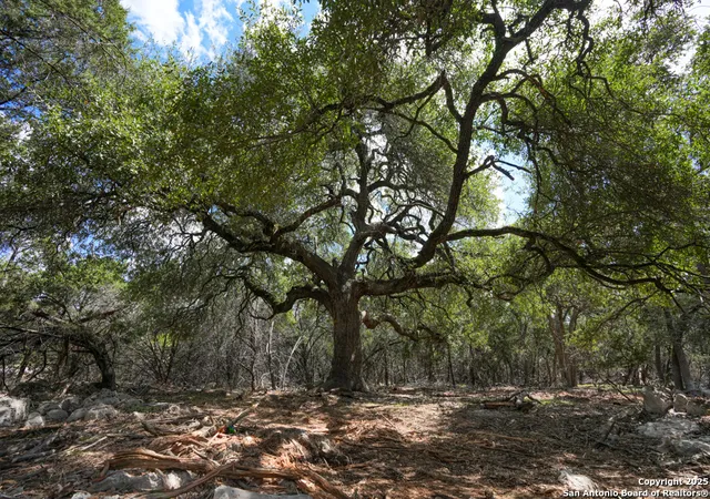 Photo 1 of Land for sale at 330 Rayner Ranch, Spring Branch, TX 78070 | MLS# 1847173 | Listing updated on 2025-12-26