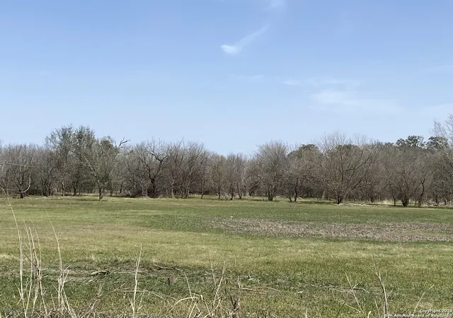 14th image of Tbd Hartfield Rd, La Vernia, TX 78121 | MLS# 1847551