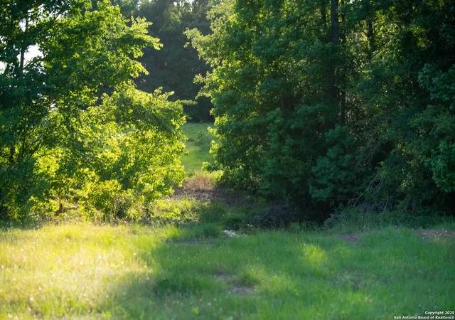 1st image of 000 County Road 120, Centerville, TX 75833 | MLS# 1847682