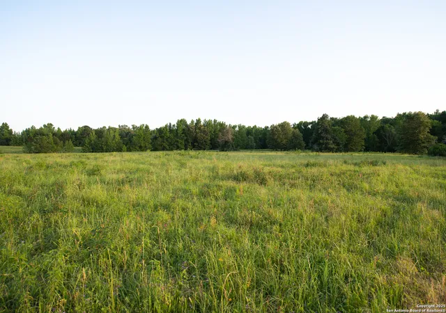 5th image of 000 County Road 120, Centerville, TX 75833 | MLS# 1847682