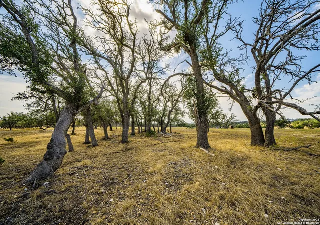 1st image of 436 Stevens Ranch Rd, Harper, TX 78631 | MLS# 1848114