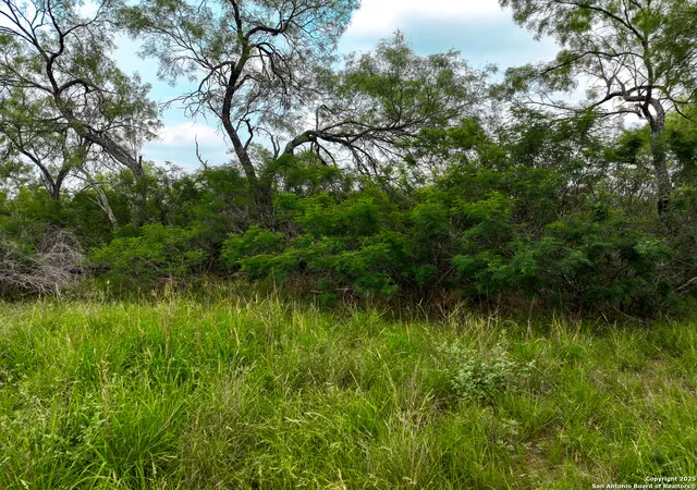 Land for sale at 0000 Count Road 5232, D Hanis, TX 78850 | MLS# 1848531