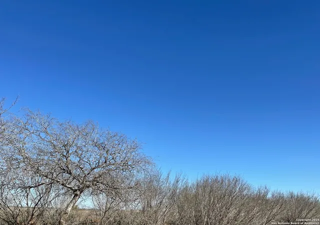 2nd image of 1010 Cr 308a, Jourdanton, TX 78026 | MLS# 1848616