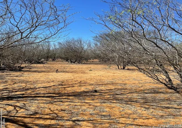 Photo 4 of Land for sale at 1010 Cr 308A, Jourdanton, TX 78026 | MLS# 1848646 | Listing updated on 2026-07-25