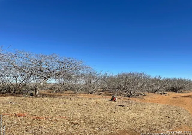 Photo 2 of Land for sale at 1010 Cr 308a, Jourdanton, TX 78026 | MLS# 1848646 | Listing updated on 2026-07-25