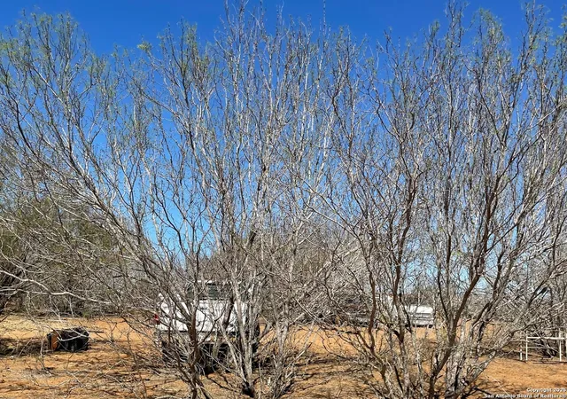 Photo 3 of Land for sale at 1010 Cr 308A, Jourdanton, TX 78026 | MLS# 1848646 | Listing updated on 2026-07-25