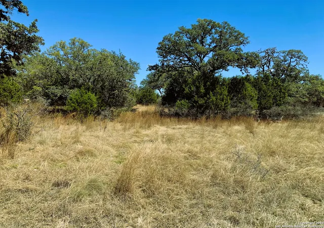 Photo 2 of Land for sale at 443 Arthur Ct, Spring Branch, TX 78070 | MLS# 1848777 | Listing updated on 2025-03-22