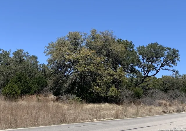 Photo 3 of Land for sale at 443 Arthur Ct, Spring Branch, TX 78070 | MLS# 1848777 | Listing updated on 2025-03-22