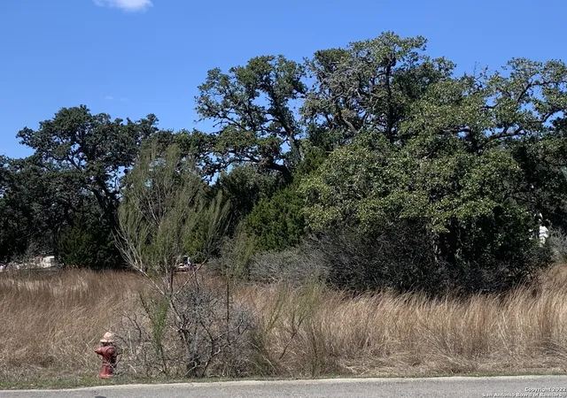 Photo 4 of Land for sale at 443 Arthur Ct, Spring Branch, TX 78070 | MLS# 1848777 | Listing updated on 2025-03-22