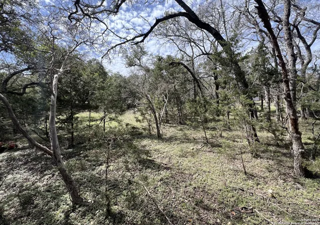 1337 Valley Springs Rd, Spring Branch, TX 78070 | MLS# 1848990 | Houzeo