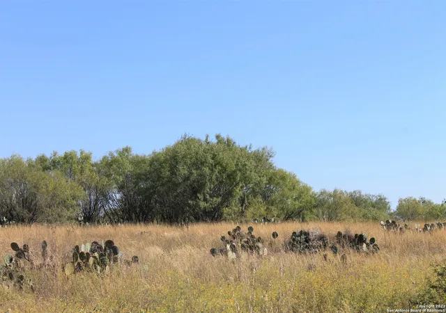 Photo 1 of Land for sale at 10240 State Hwy 173, Charlotte, TX 78011 | MLS# 1849442 | Listing updated on 2025-11-19