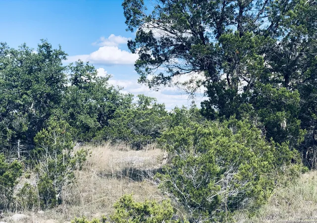 Photo 4 of Land for sale at 1020 Cliff Circle, Spring Branch, TX 78070 | MLS# 1850590 | Listing updated on 2026-09-08