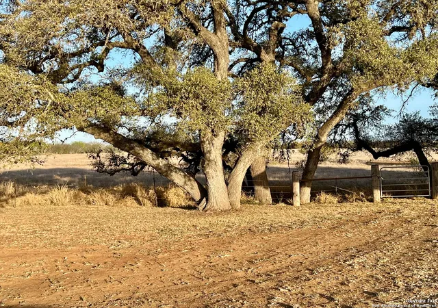 Photo 4 of Single family home for sale at 500 Bluntzer Rd, Jourdanton, TX 78026 | MLS# 1850688 | Listing updated on 2025-10-29