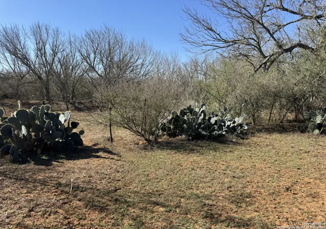 Photo 2 of Land for sale at 1432 Cr 326, Jourdanton, TX 78026 | MLS# 1851314 | Listing updated on 2025-03-31
