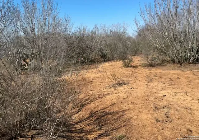 Photo 3 of Land for sale at 1432 Cr 326, Jourdanton, TX 78026 | MLS# 1851314 | Listing updated on 2025-03-31
