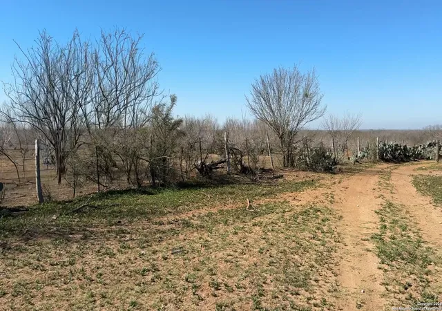 Photo 3 of Land for sale at 1432 Cr 326, Jourdanton, TX 78026 | MLS# 1851314 | Listing updated on 2025-03-31
