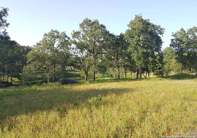 8th image of Lot 36 Woodlands Dr, La Vernia, TX 78121 | MLS# 1851783