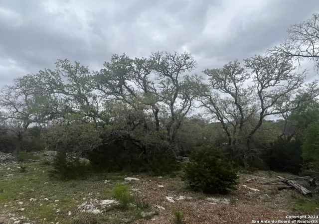 Photo 3 of Sale Pending at 192 Macaw Ln, Spring Branch, TX 78070 | MLS# 1852051 | Listing updated on 2026-05-12