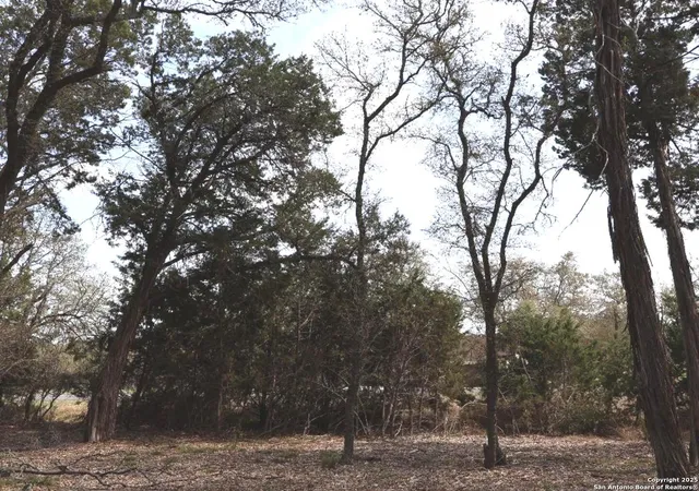 Photo 4 of Sale Pending at 0 Windmill Way, Spring Branch, TX 78070 | MLS# 1853082 | Listing updated on 2025-06-03