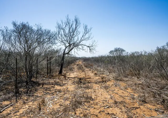 Photo 3 of Land for sale at 996 County Road 2530, Moore, TX 78057 | MLS# 1853255 | Listing updated on 2025-10-06