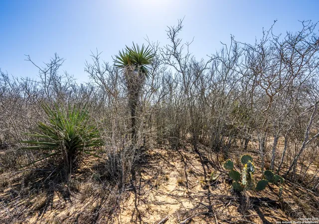 Photo 1 of Land for sale at 996 County Road 2530, Moore, TX 78057 | MLS# 1853255 | Listing updated on 2025-10-06