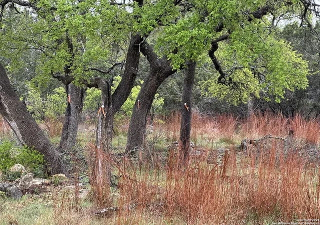 4th image of 117 N John Bird, Blanco, TX 78606 | MLS# 1853791