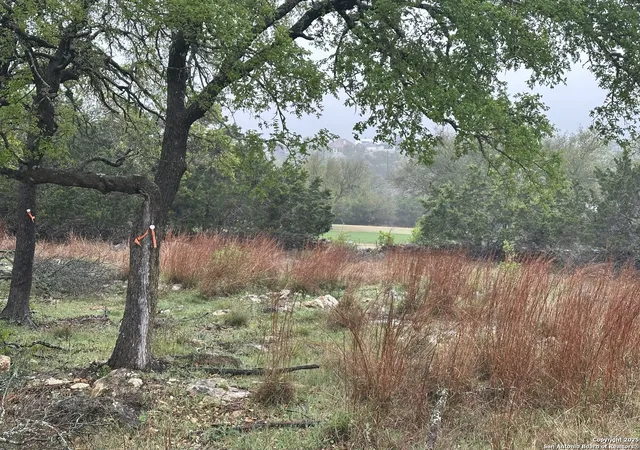 2nd image of 117 N John Bird, Blanco, TX 78606 | MLS# 1853791