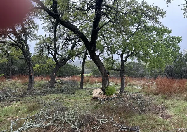Photo 3 of Land for sale at 117 N John Bird, Blanco, TX 78606 | MLS# 1853791 | Listing updated on 2025-04-08