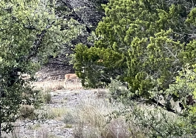 Photo 3 of Land for sale at 868 Bell Canyon Way, Bulverde, TX 78163 | MLS# 1854106 | Listing updated on 2026-04-18