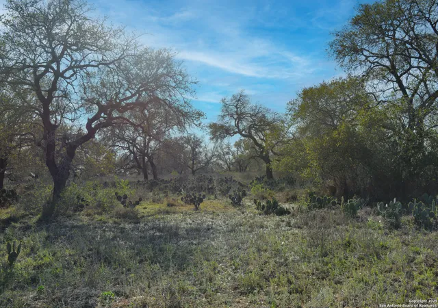 4th image of 00 Fm 476, Poteet, TX 78065 | MLS# 1854706