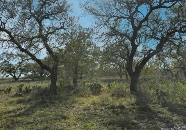 5th image of 00 Fm 476, Poteet, TX 78065 | MLS# 1854706