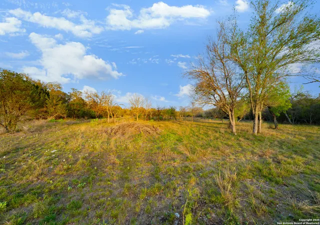 Photo 3 of Sale Pending at 247 County Road 4802, Castroville, TX 78009 | MLS# 1854871 | Listing updated on 2025-09-26