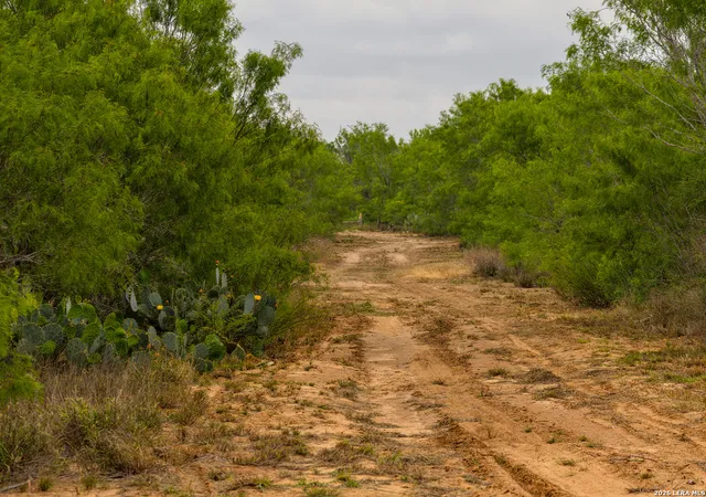 3rd image of 9 Fm 1581, Pearsall, TX 78061 | MLS# 1855122