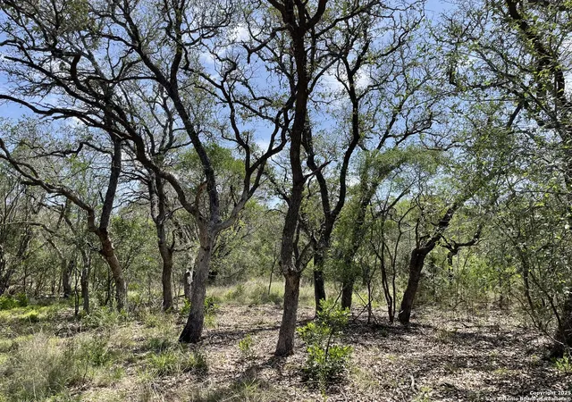 Photo 4 of Sale Pending at 1191 Cr 241, Hondo, TX 78861 | MLS# 1855909 | Listing updated on 2026-01-13