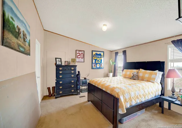 49th image of 452 Pr 6620, Devine, TX 78016 | MLS# 1856063