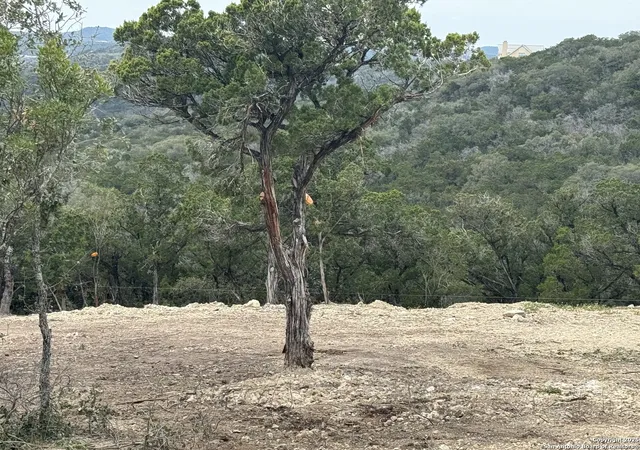 Photo 3 of Land for sale at 9805 Cash Mountain, Helotes, TX 78023 | MLS# 1856339 | Listing updated on 2025-07-25