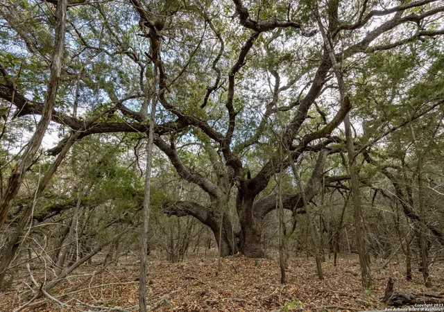 Photo 2 of Land for sale at 24519 Ripple Way, San Antonio, TX 78266 | MLS# 1856377 | Listing updated on 2025-09-15