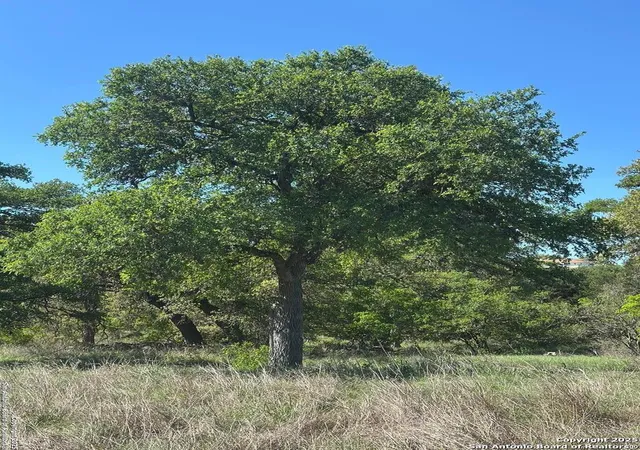 Photo 3 of Land for sale at 713 Mystic Shores Blvd, Spring Branch, TX 78070 | MLS# 1856456 | Listing updated on 2025-08-13