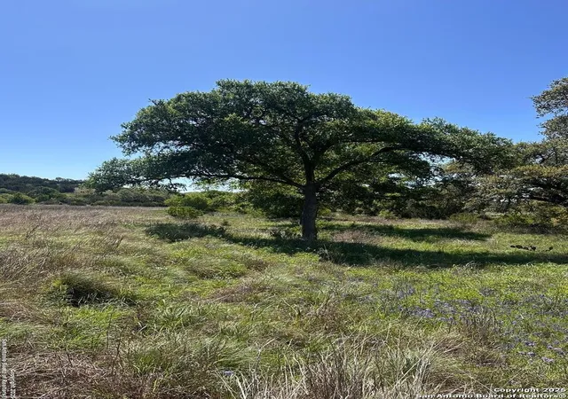 Photo 4 of Land for sale at 713 Mystic Shores Blvd, Spring Branch, TX 78070 | MLS# 1856456 | Listing updated on 2025-08-13