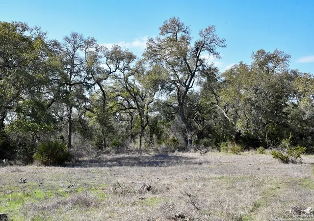 7th image of 8843 Fm 306, New Braunfels, TX 78132 | MLS# 1856586