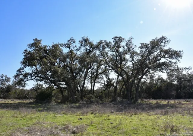 5th image of 8843 Fm 306, New Braunfels, TX 78132 | MLS# 1856586