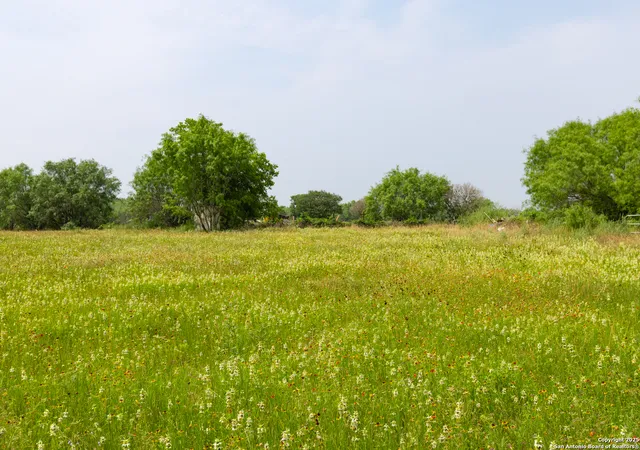 Photo 1 of Land for sale at 00 Shepherd Rd, Atascosa, TX 78002 | MLS# 1856627 | Listing updated on 2025-11-20