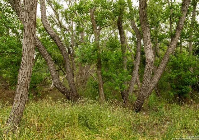 Photo 3 of Land for sale at 00 Shepherd Rd, Atascosa, TX 78002 | MLS# 1856627 | Listing updated on 2025-11-20