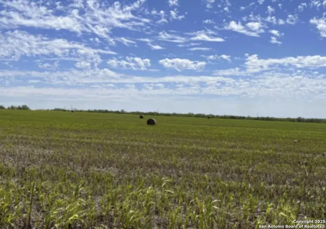 2nd image of Tract B Abbott, Saint Hedwig, TX 78152 | MLS# 1857225