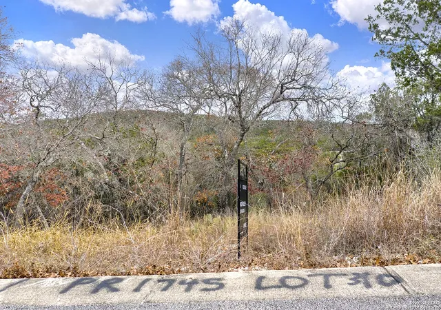 3rd image of Tbd Pr 1745, Mico, TX 78056 | MLS# 1857264