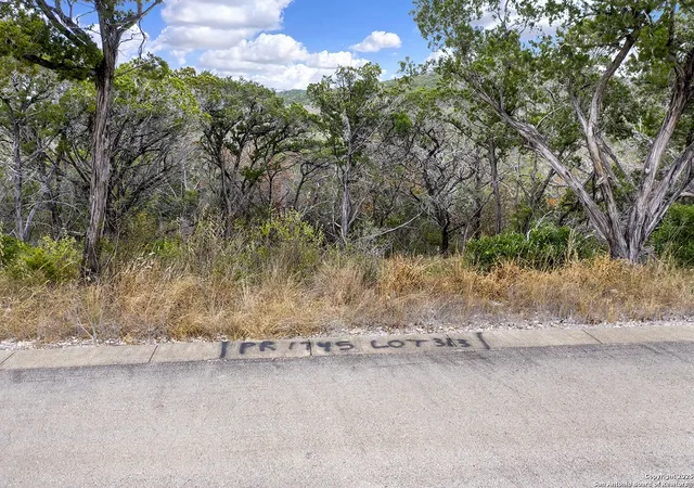 Photo 3 of Land for sale at Lot 313 Pr 1745, Mico, TX 78056 | MLS# 1857278 | Listing updated on 2025-04-21