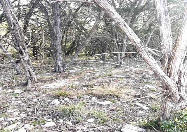 Photo 4 of Land for sale at 3343 Lakeview, Canyon Lake, TX 78133 | MLS# 1857348 | Listing updated on 2025-04-21