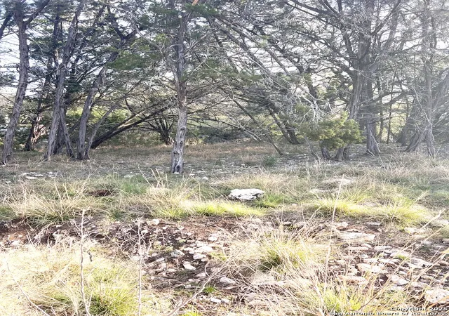 Photo 3 of Land for sale at 3343 Lakeview, Canyon Lake, TX 78133 | MLS# 1857348 | Listing updated on 2025-04-21