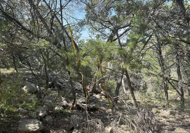 5th image of 397 Cedar Dr, Canyon Lake, TX 78133 | MLS# 1857747