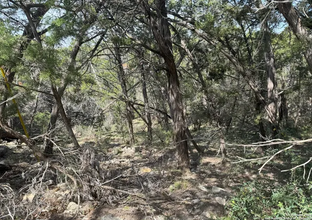4th image of 397 Cedar Dr, Canyon Lake, TX 78133 | MLS# 1857747